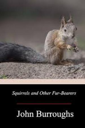 Squirrels and Other Fur-Bearers